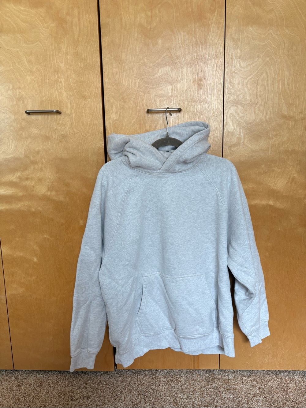 Aritzia Sweatflee Cozy Fleece Mega Fit Hoodie